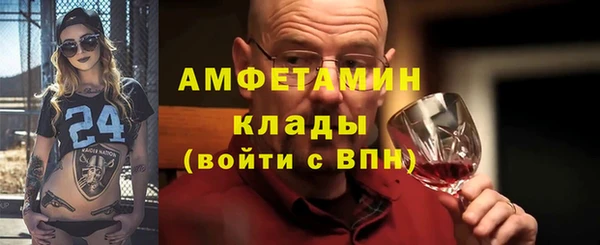 молекула духа Костерёво
