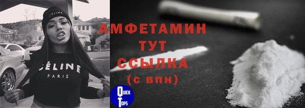 молекула духа Костерёво