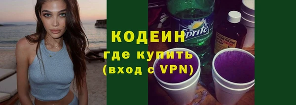 молекула духа Костерёво