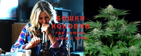 молекула духа Костерёво
