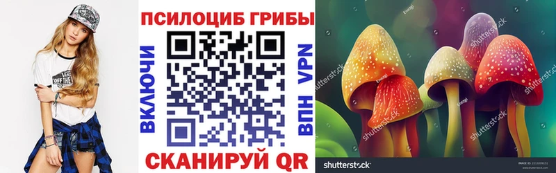 Купить где  Плавск  Галлюциногенные грибы прущие грибы 